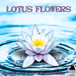 Lotus Flowers - Relaxing Music for Yoga Exercise (2013) ExtraBall Records