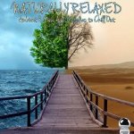Naturally Relaxed: Ambient & New Age Melodies to Chill Out (2014) ExtraBall Records