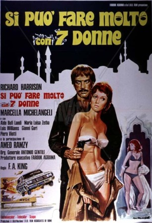 Si puo fare molto con sette donne (1972) film poster