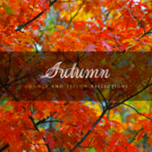 Autumn: Orange and Yellow Reflections (2015) Relaxing Music